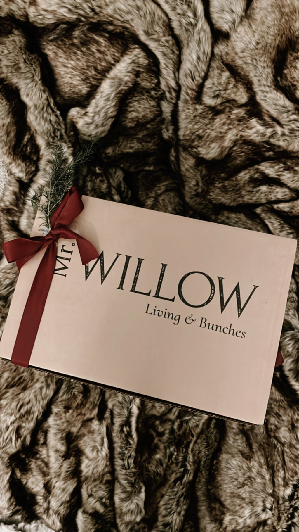 HAPPY Christmas Boxen