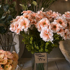 Fjärilsranukel aprikos 56cm