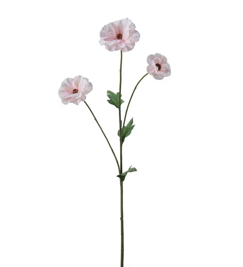 Japansk ranukel rosa 62 cm