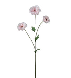 Japansk ranukel rosa 62 cm