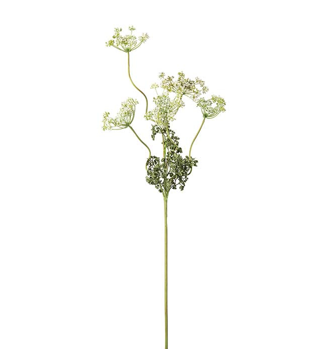 Flockblomma vit 70 cm