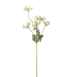 Flockblomma vit 70 cm