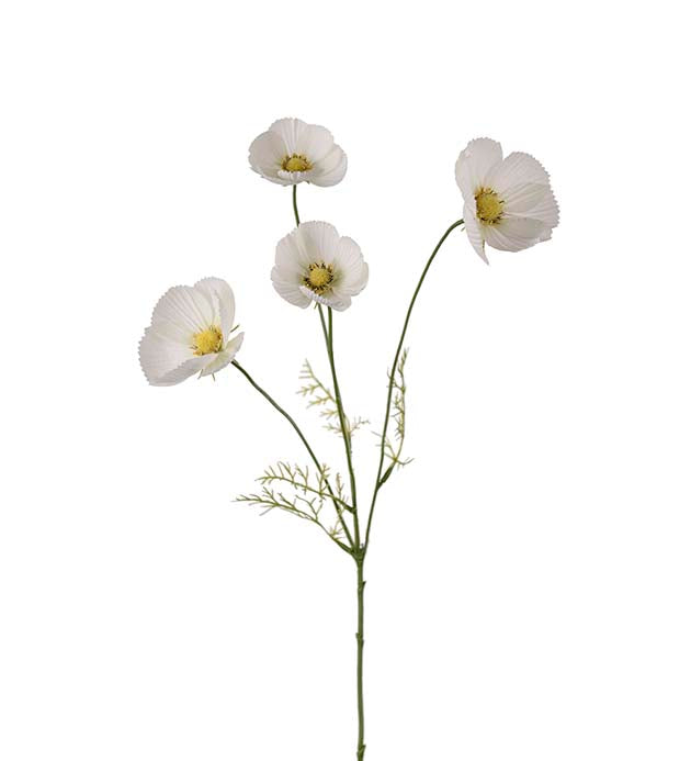 Rosenskära vit 60 cm