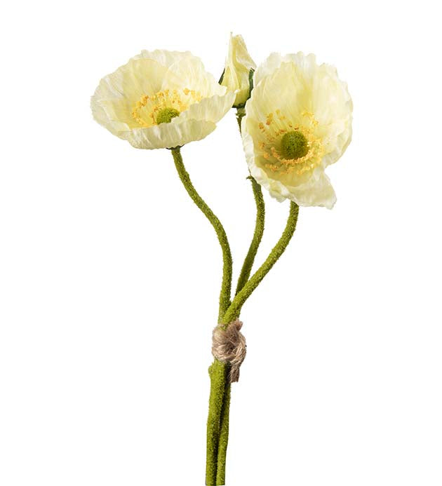 Vallmo Ljusgul 22 cm (knippe)